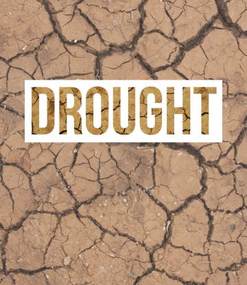 Deepening Florida Drought Hits Cattle Ranchers And Growers Supply